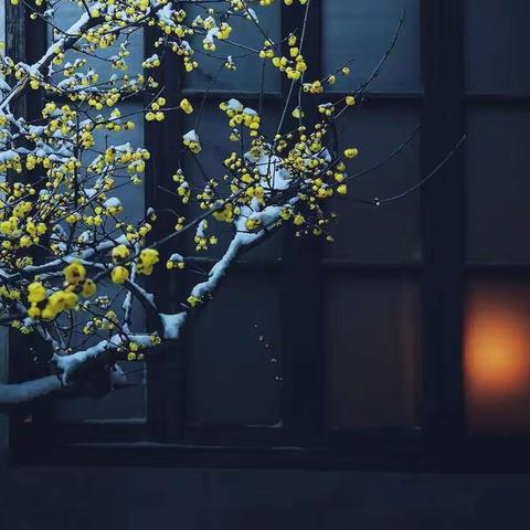七绝•夜读随感