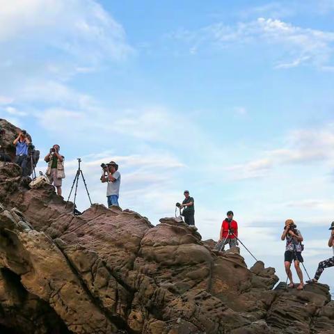 北部湾开海节采风花絮
