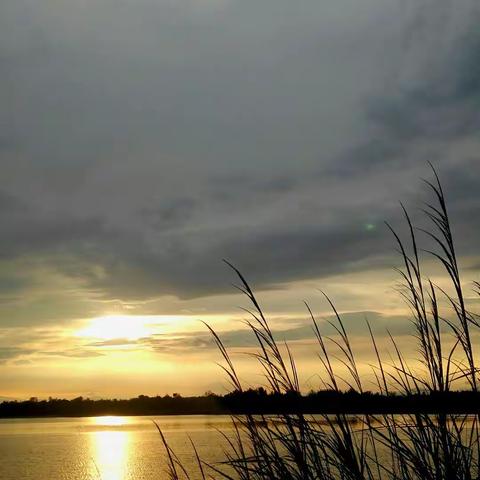 防城港京族哈节旅游摄影采风团花絮(一)