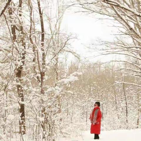 家乡三月雪花飘