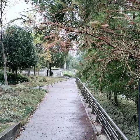 初冬感怀