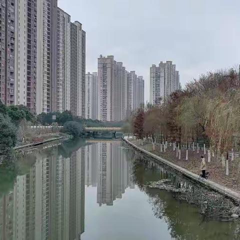 岁末年初 匆匆这年