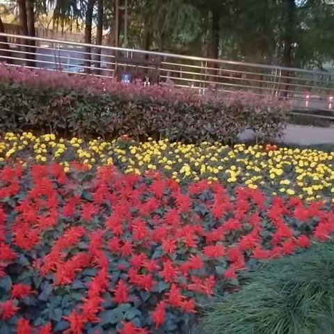 心间流淌