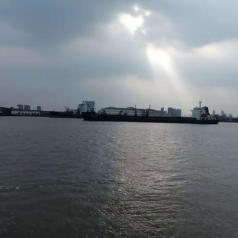 黄浦江徐浦大桥    入沪印象（四）