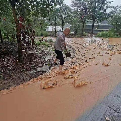 暴雨来袭、众志成城、齐心协力、安全度汛