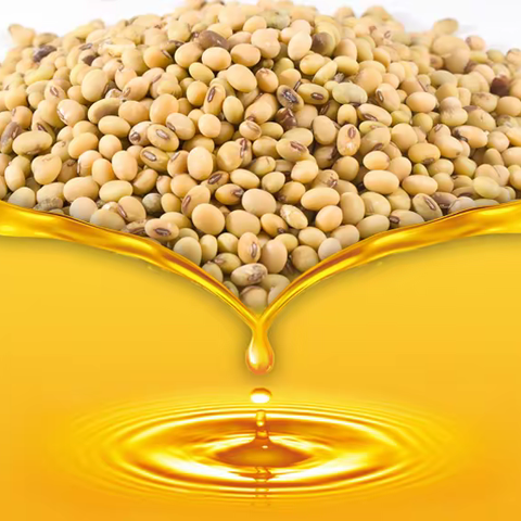 压榨油与浸出油的区别