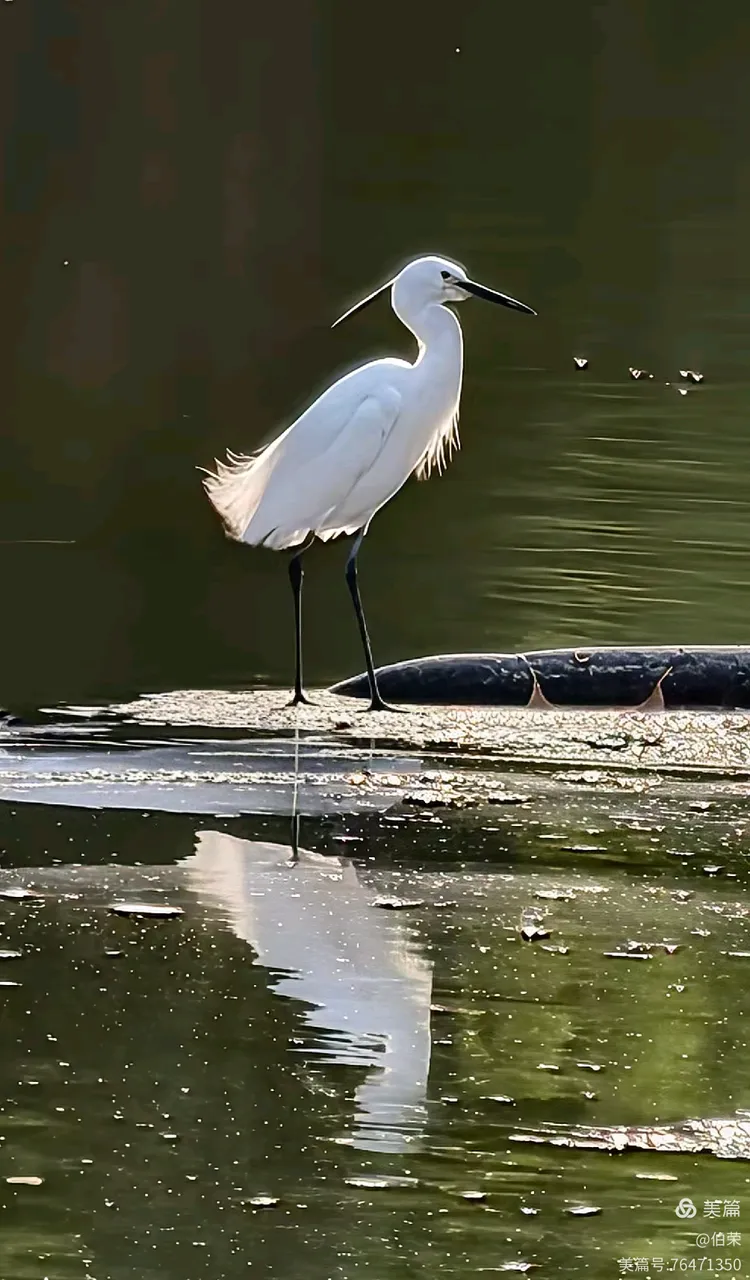 上海行