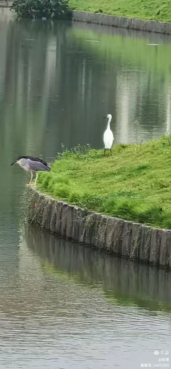 上海行