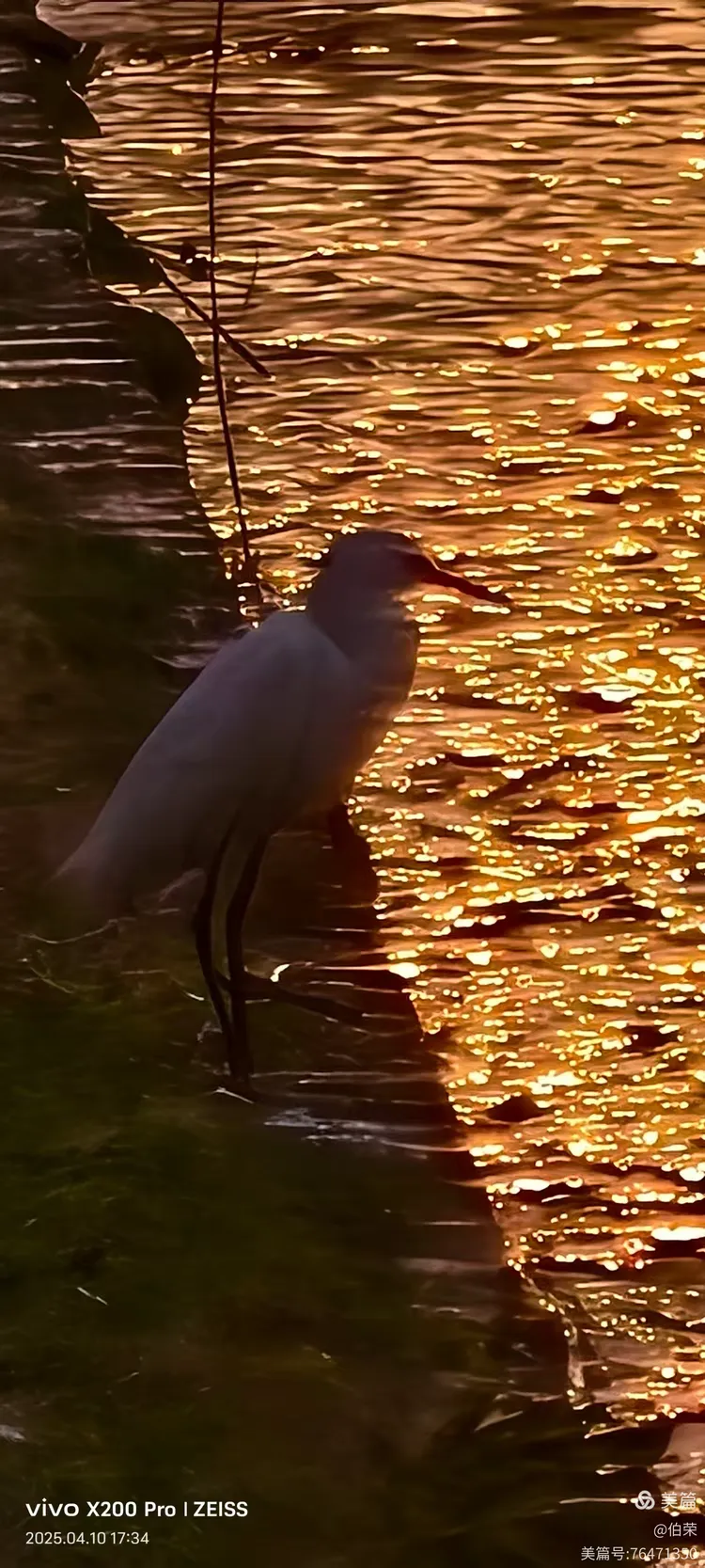 上海行