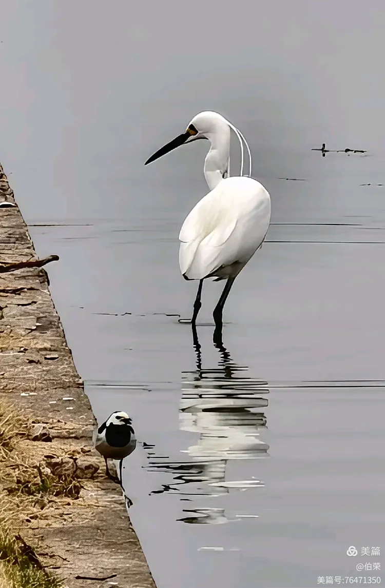 上海行