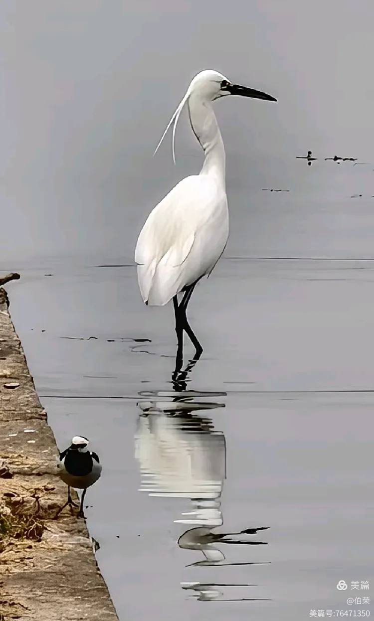 上海行