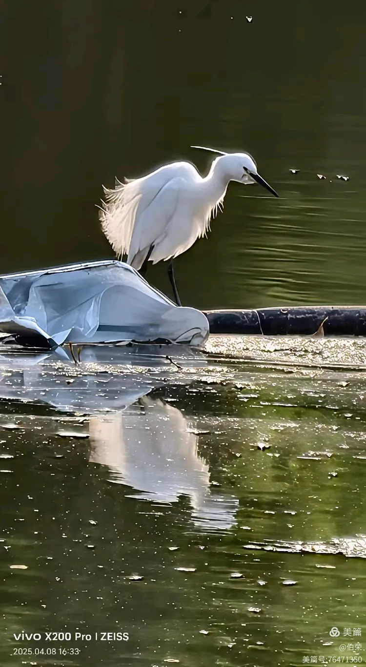 上海行