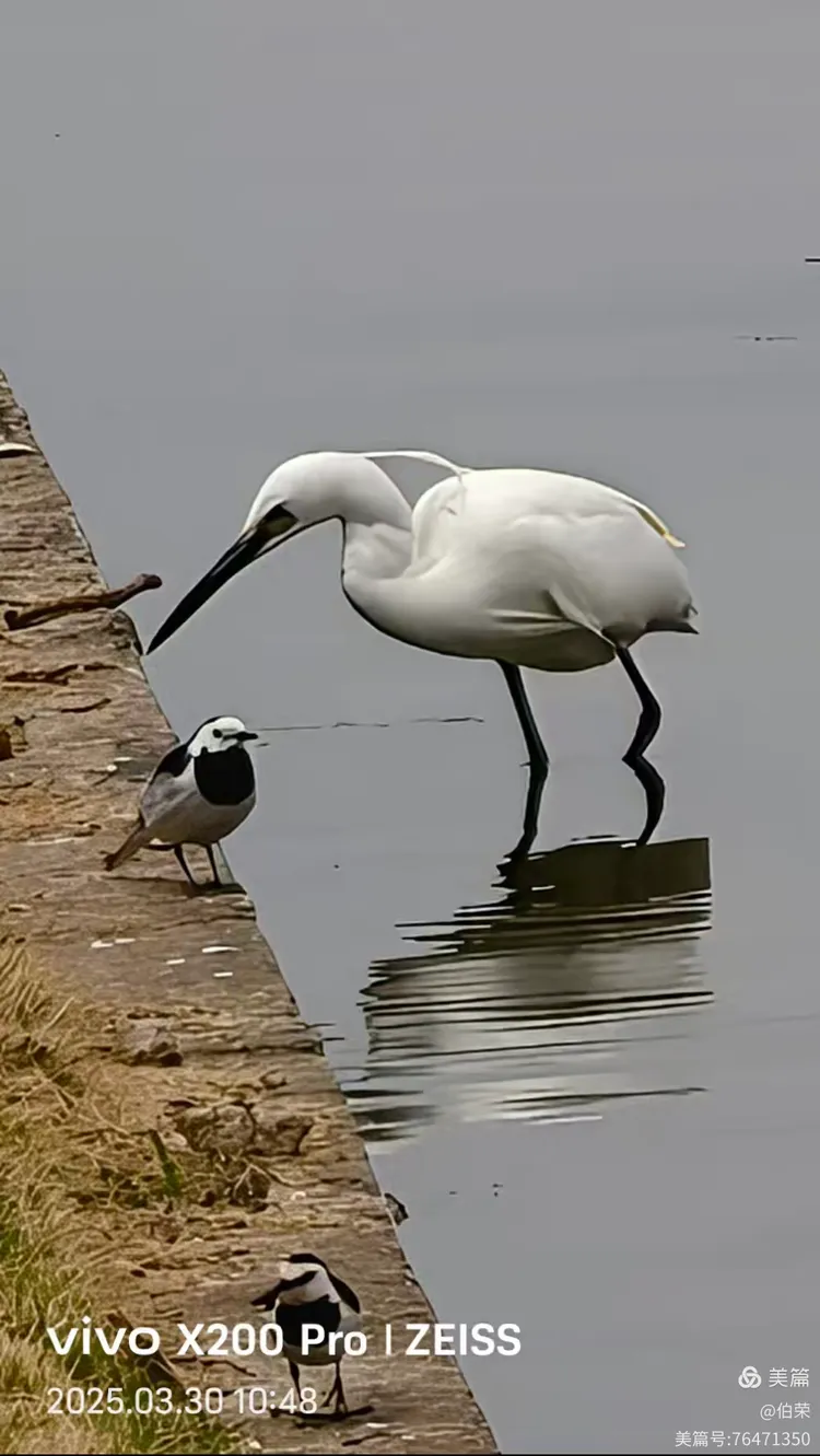 上海行