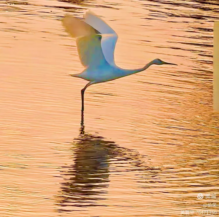 上海行