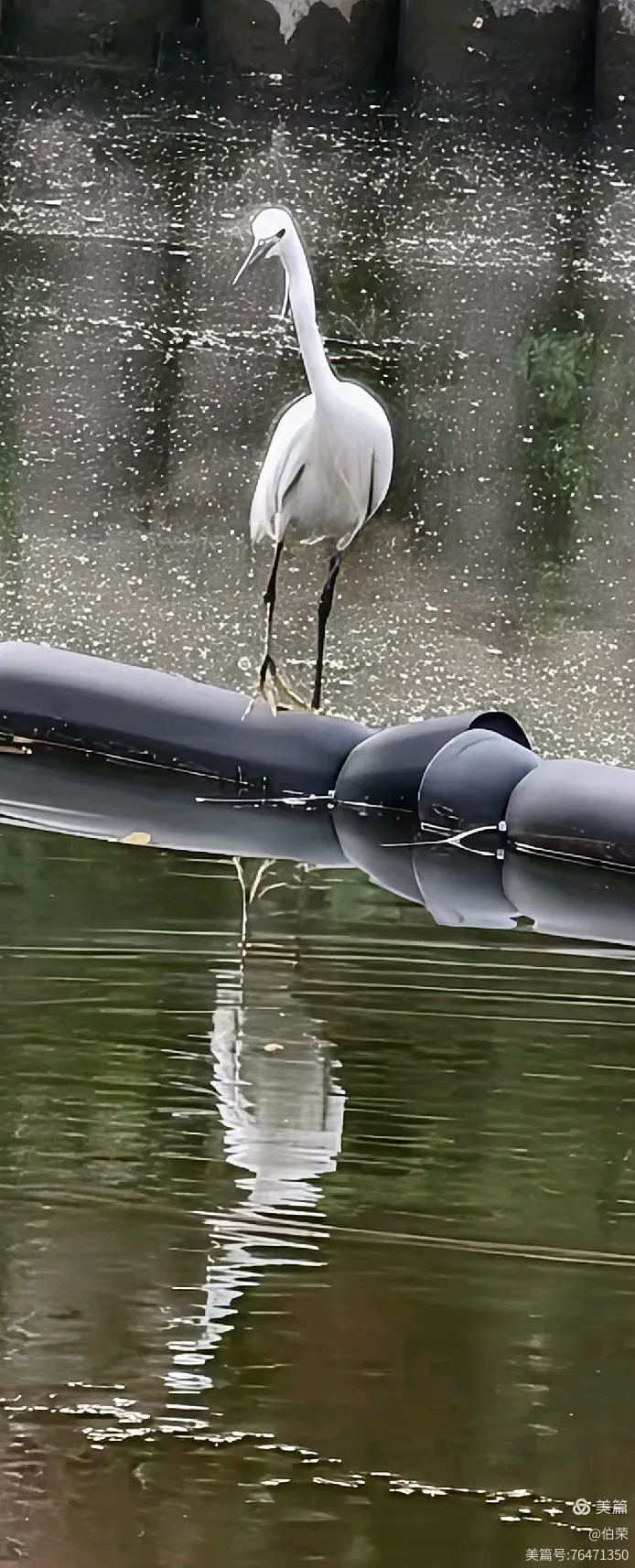 上海行