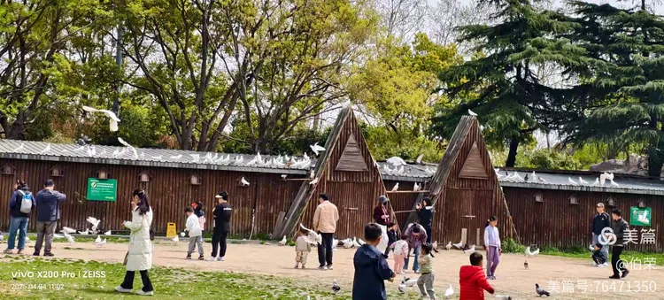 上海野生动物园一游