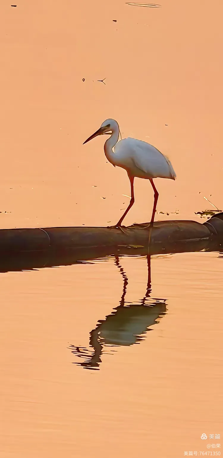 上海行