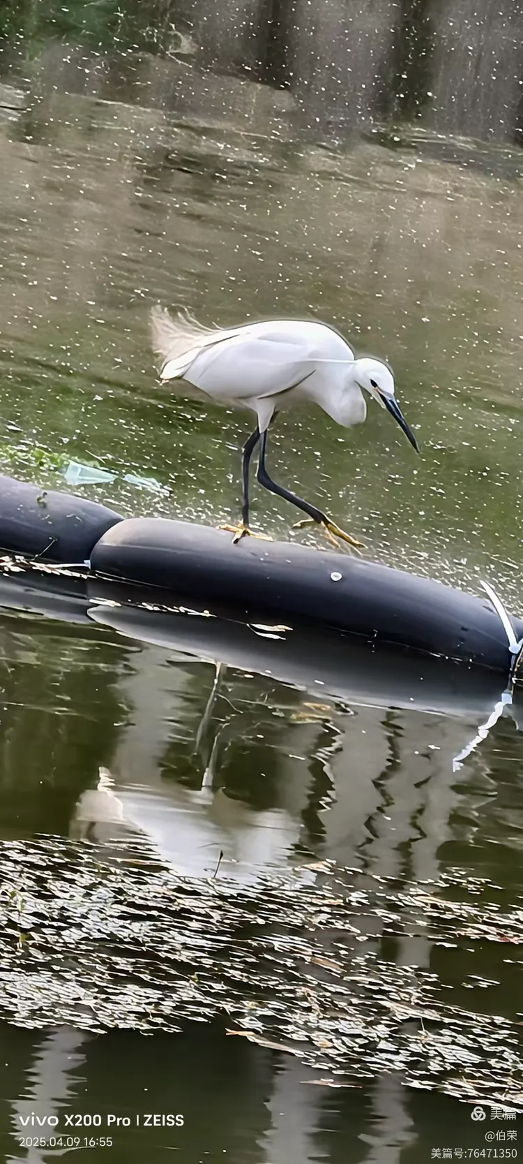 上海行