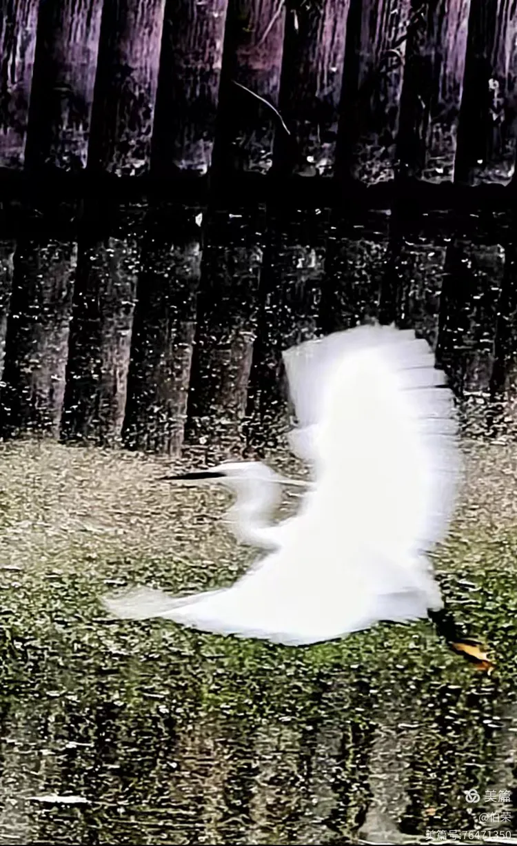 上海行