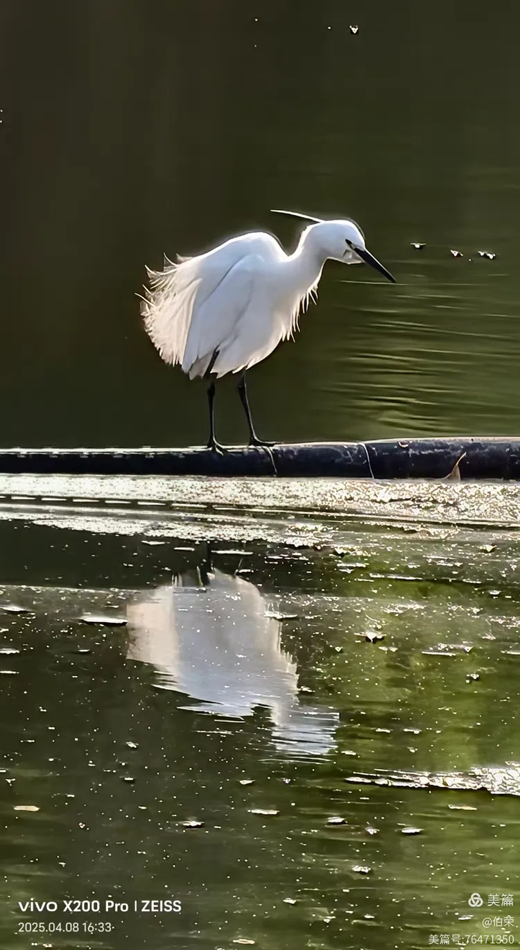 上海行