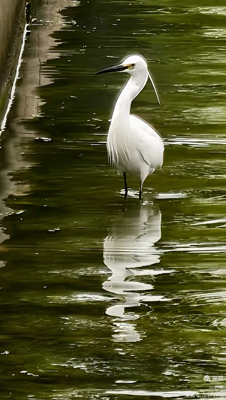 上海行