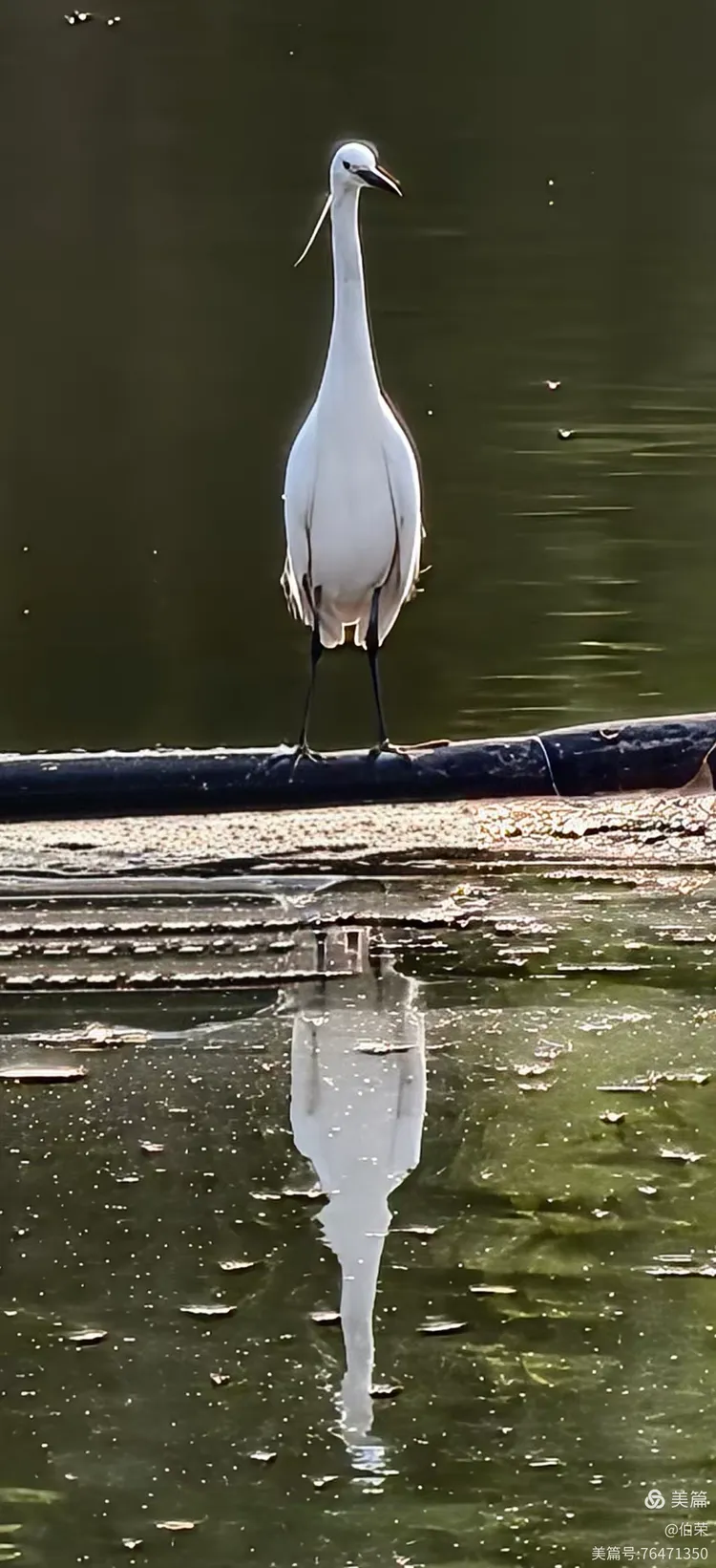 上海行