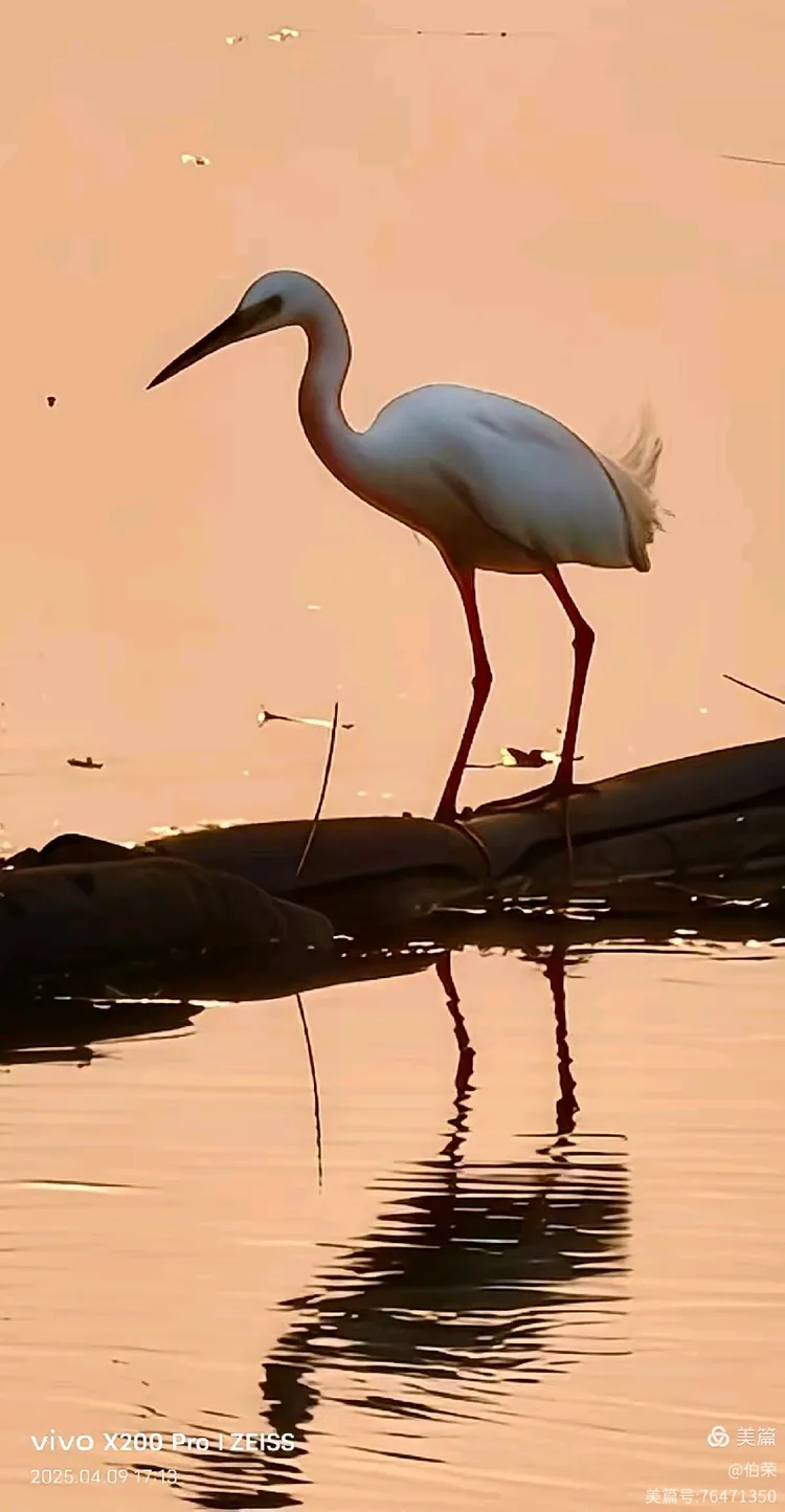上海行