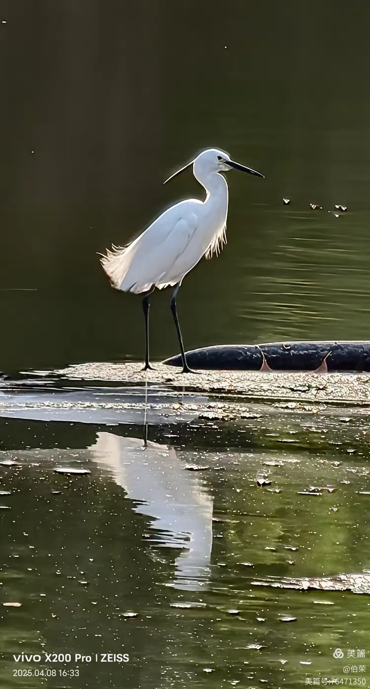 上海行