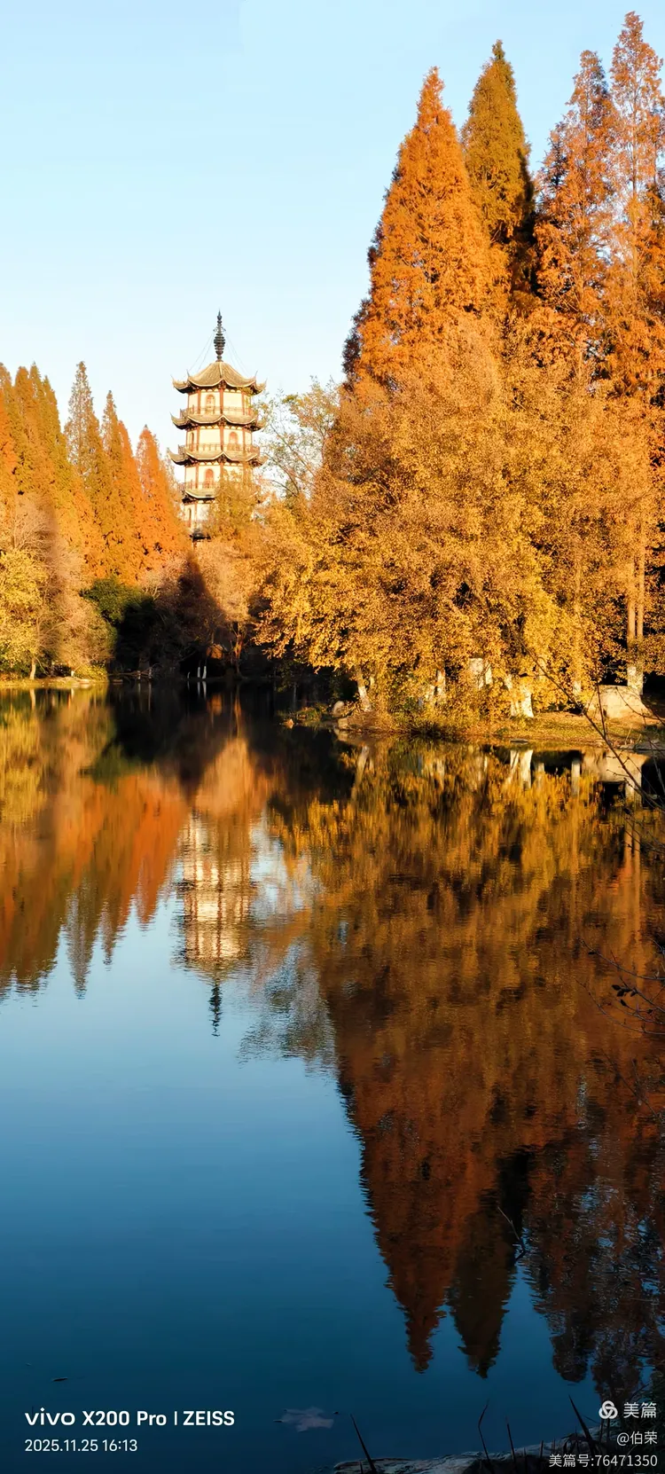 桃花岛里好风光！（88岁翁手机拍摄）