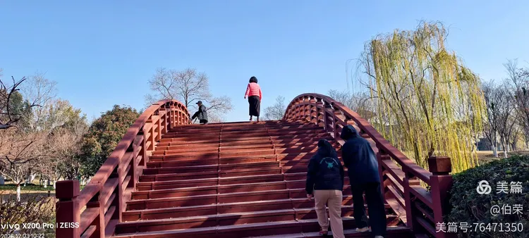 桃花岛里好风光！（88岁翁手机拍摄）