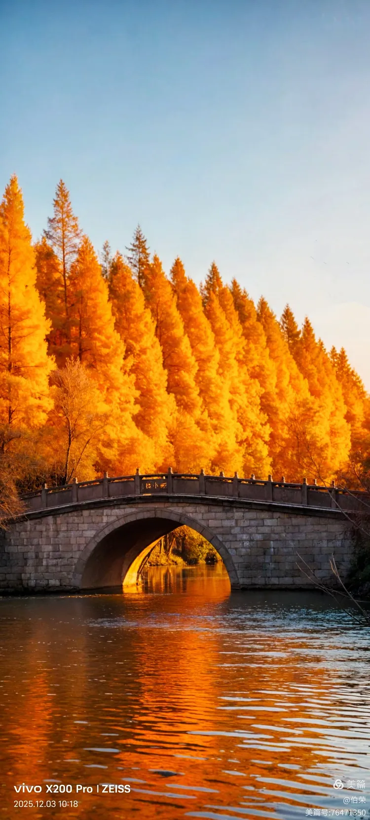 桃花岛里好风光！（88岁翁手机拍摄）