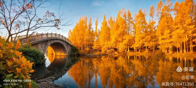 桃花岛里好风光！（88岁翁手机拍摄）