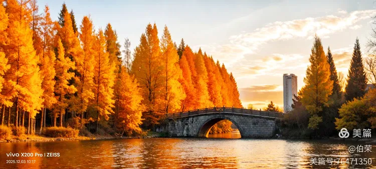 桃花岛里好风光！（88岁翁手机拍摄）