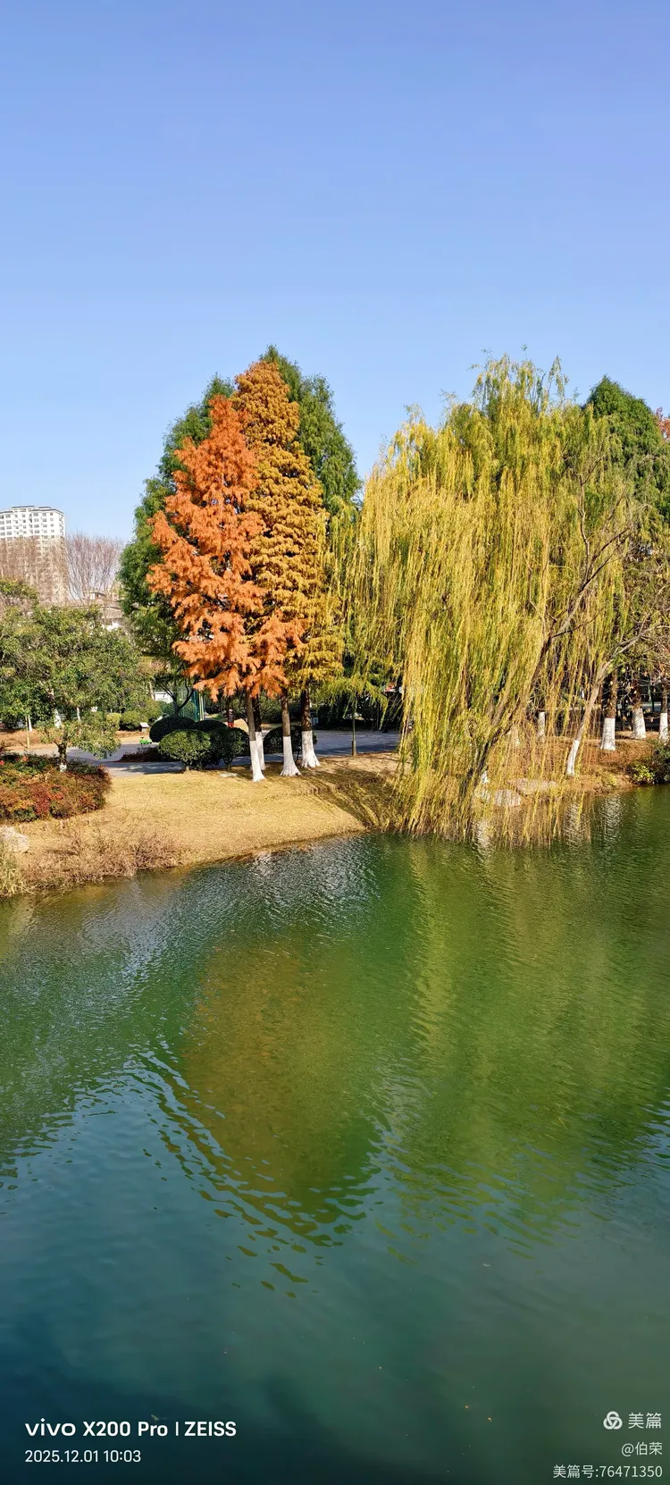 桃花岛里好风光！（88岁翁手机拍摄）