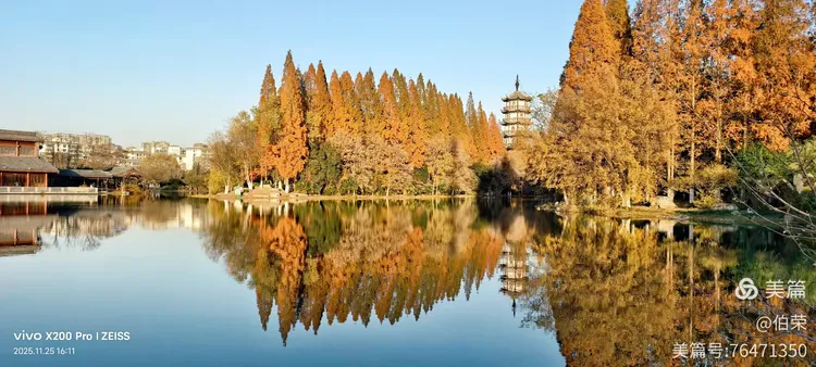 桃花岛里好风光！（88岁翁手机拍摄）