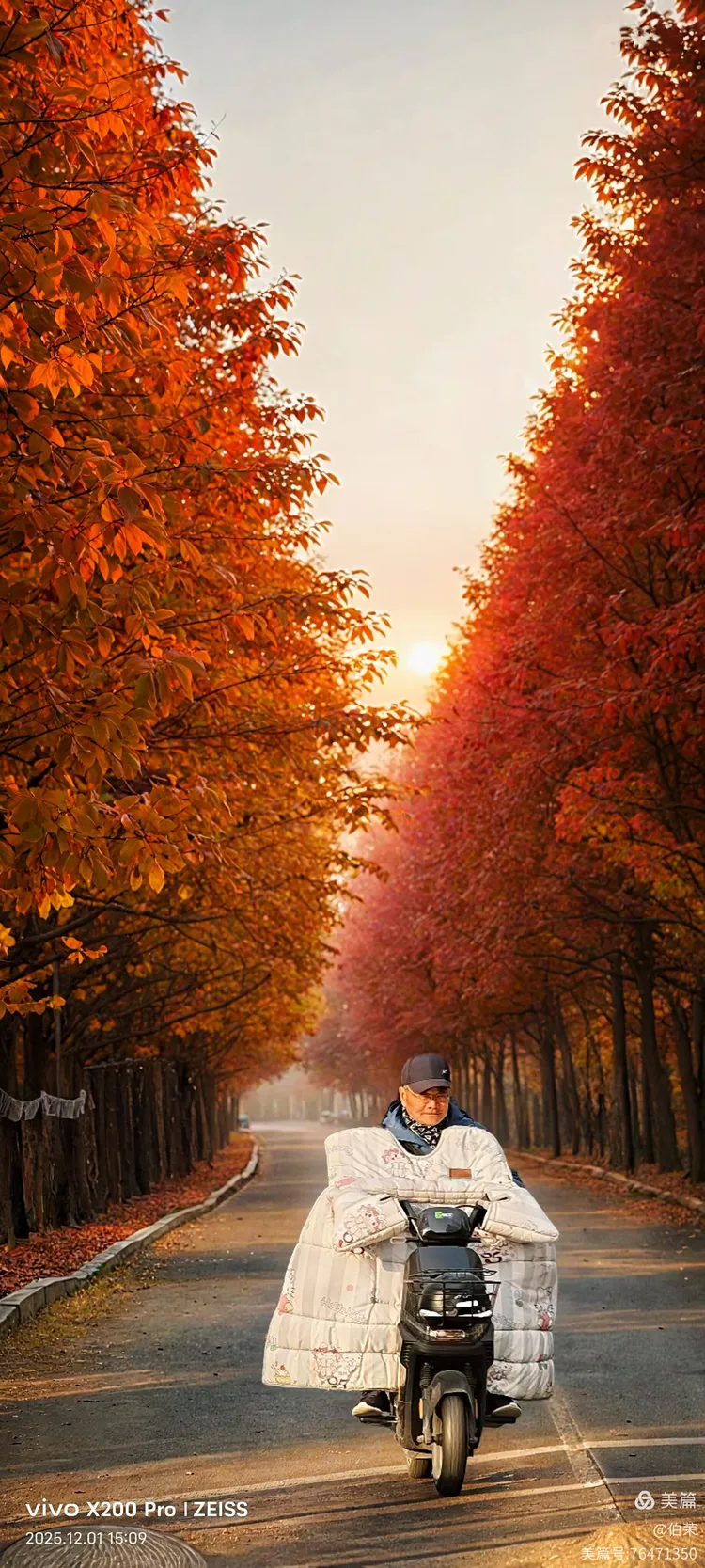 桃花岛里好风光！（88岁翁手机拍摄）