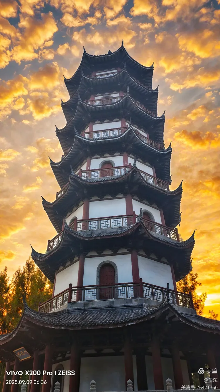 桃花岛里好风光！（88岁翁手机拍摄）