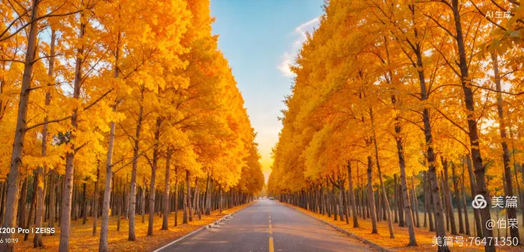 桃花岛里好风光！（88岁翁手机拍摄）