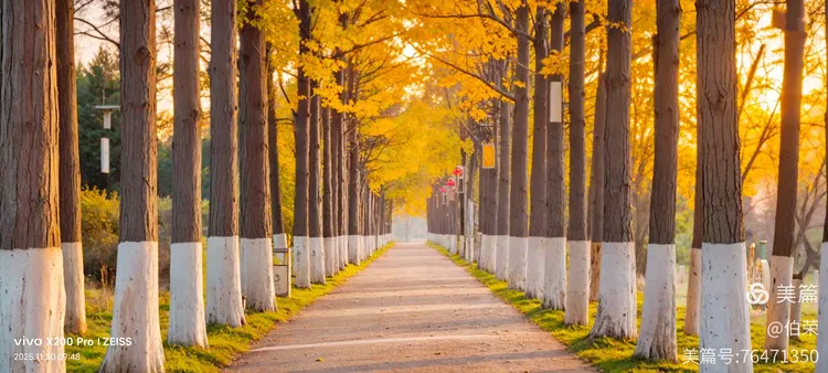 桃花岛里好风光！（88岁翁手机拍摄）