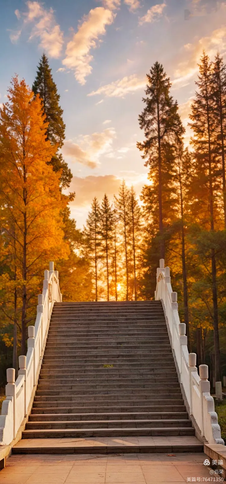 桃花岛里好风光！（88岁翁手机拍摄）