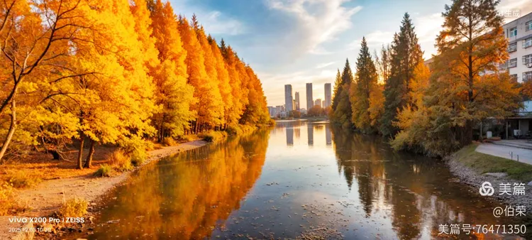 桃花岛里好风光！（88岁翁手机拍摄）