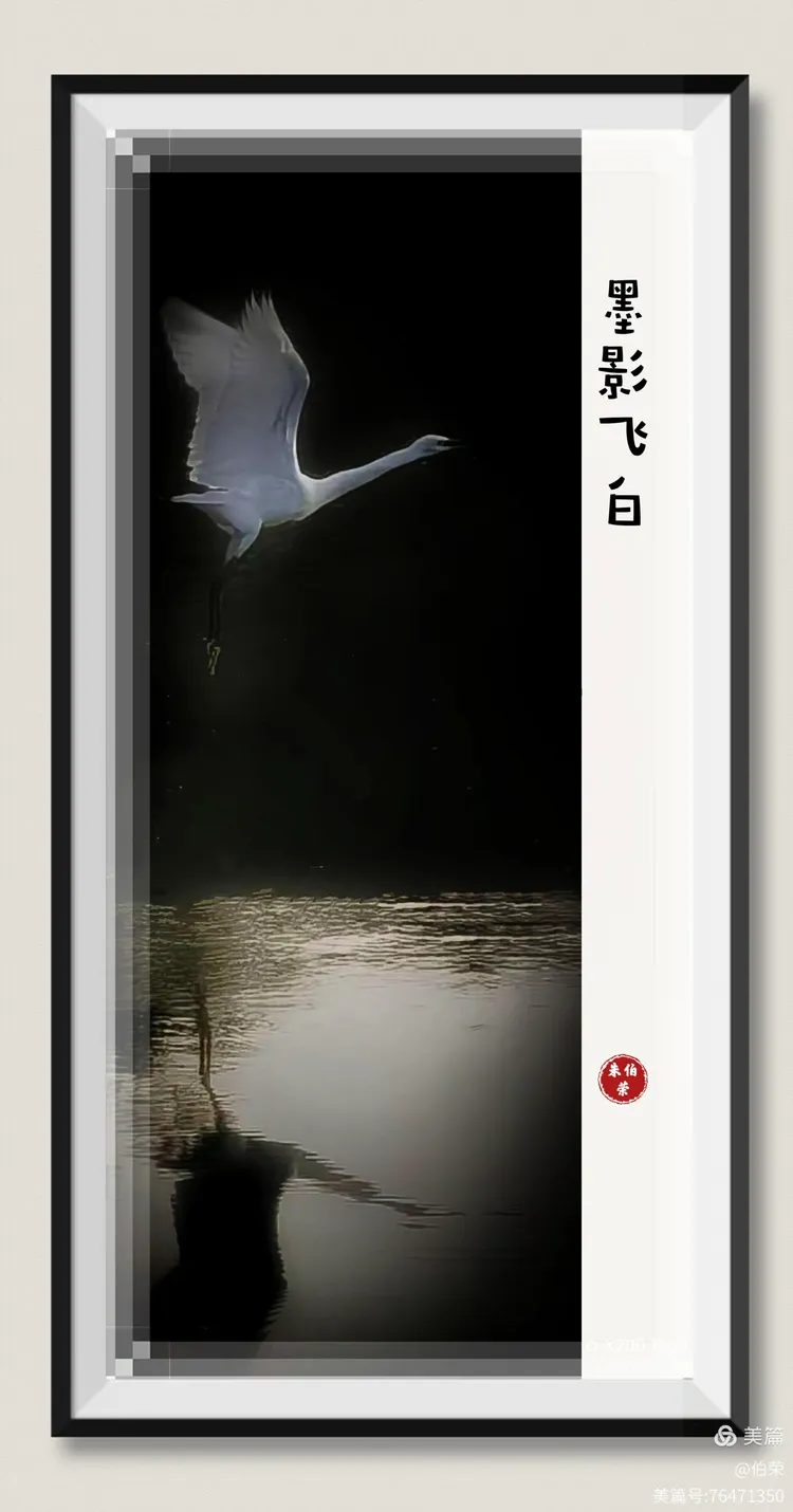 鸟姿百态图（88岁翁手机拍摄）