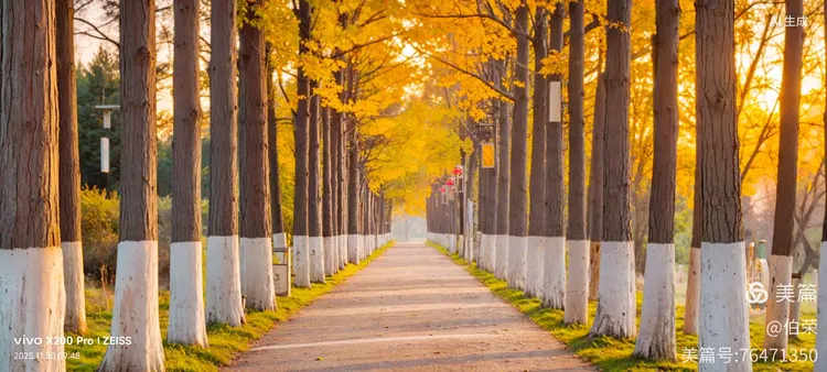 桃花岛里好风光！（88岁翁手机拍摄）