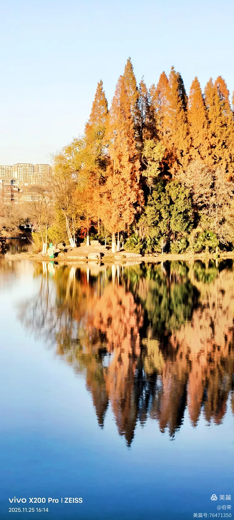 桃花岛里好风光！（88岁翁手机拍摄）