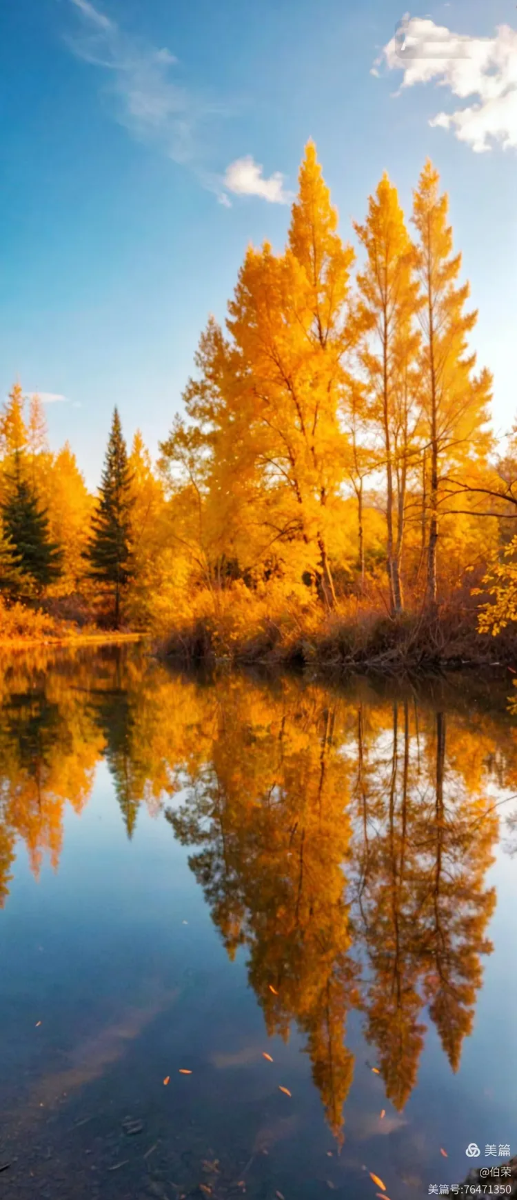 桃花岛里好风光！（88岁翁手机拍摄）