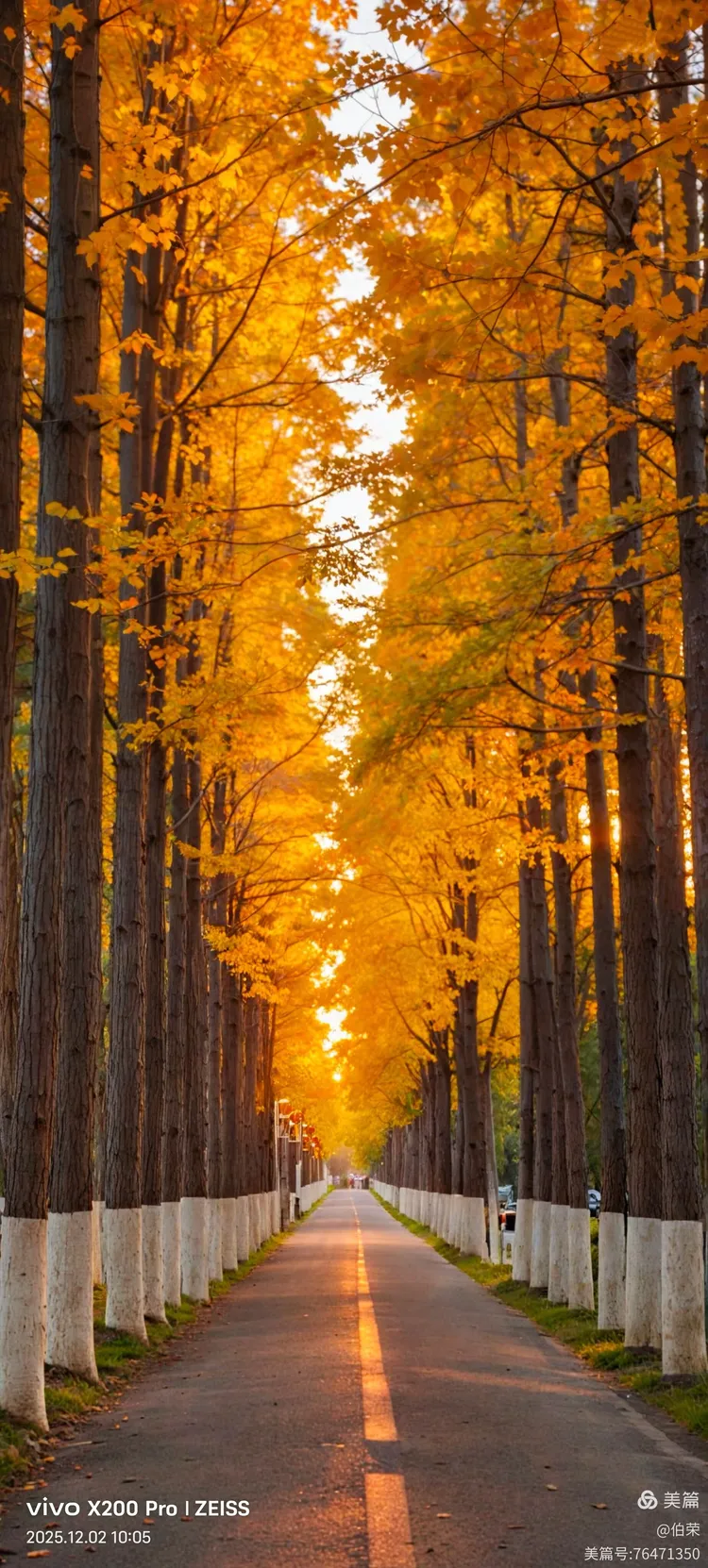桃花岛里好风光！（88岁翁手机拍摄）