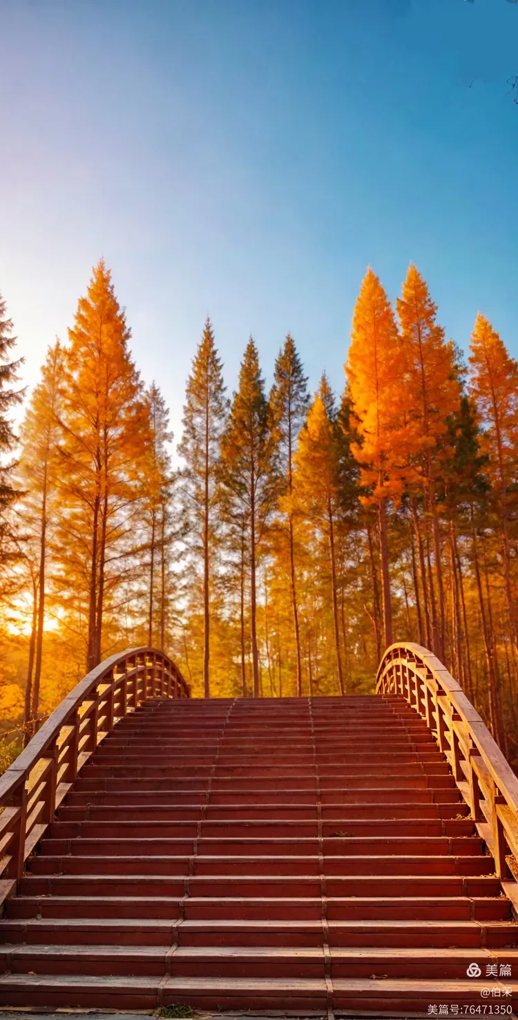 桃花岛里好风光！（88岁翁手机拍摄）