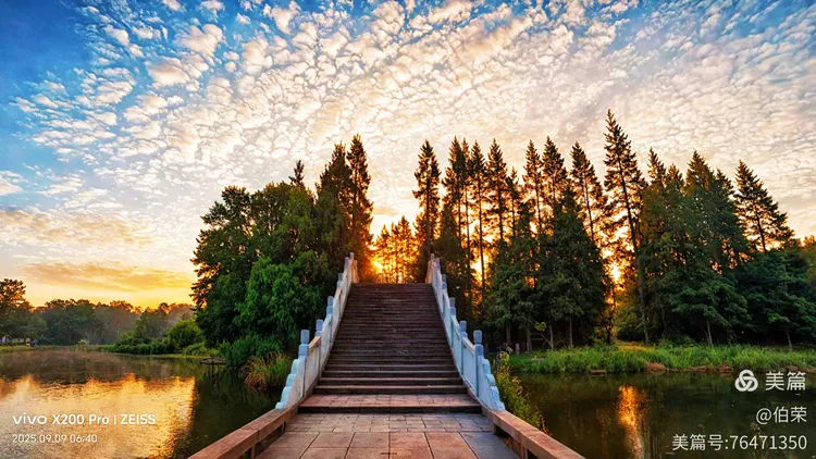 桃花岛里好风光！（88岁翁手机拍摄）