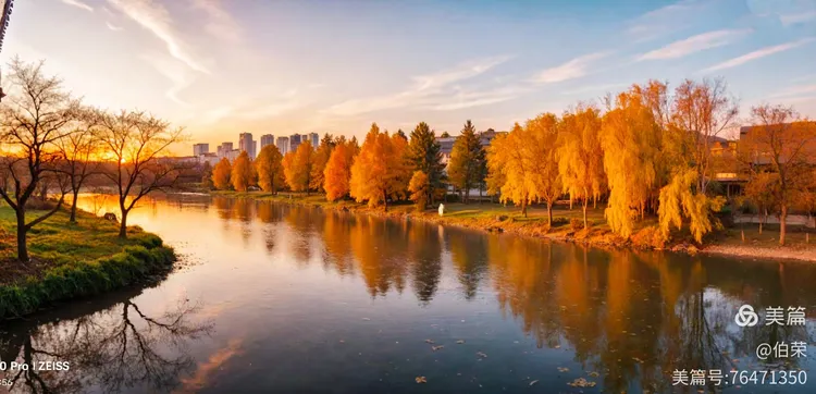 桃花岛里好风光！（88岁翁手机拍摄）