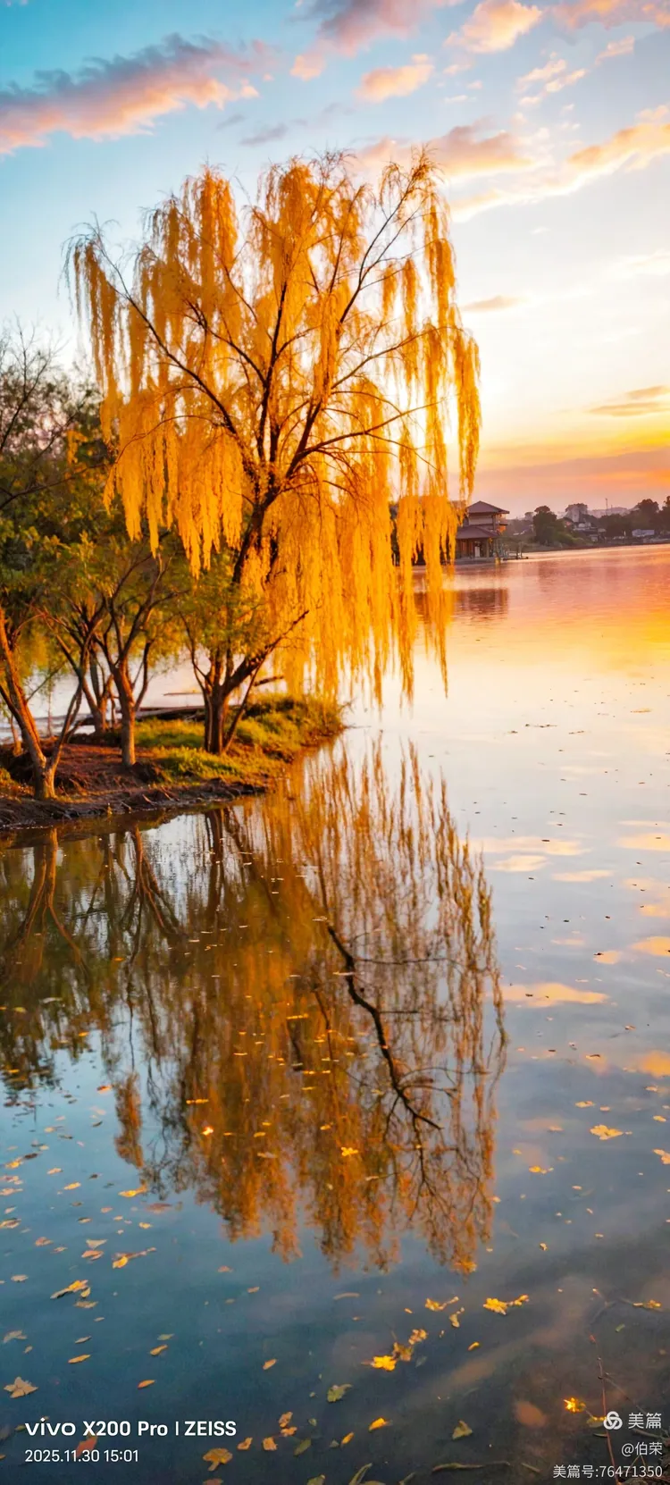 桃花岛里好风光！（88岁翁手机拍摄）